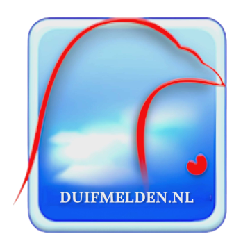 duifmelden.nl - Because We Innovate